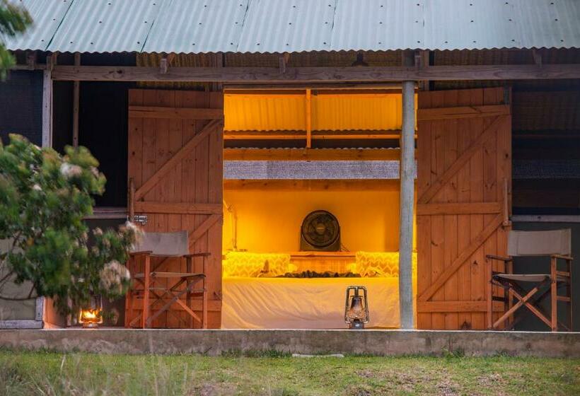 فندق Gugulesizwe Camp