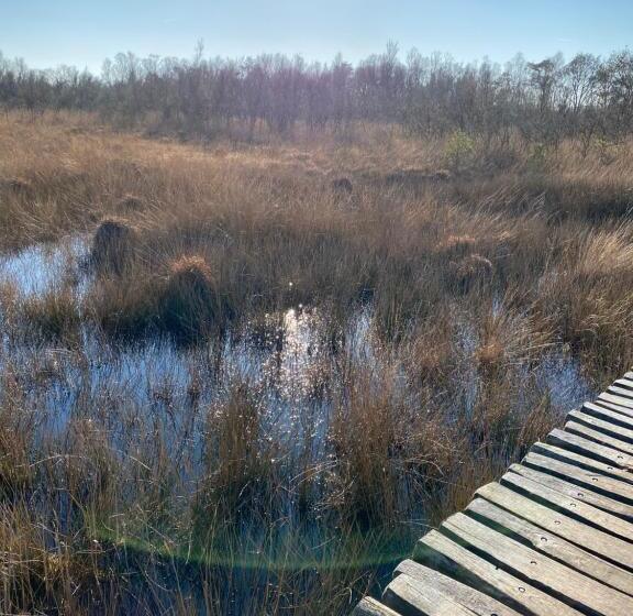 ペンション Cassehof