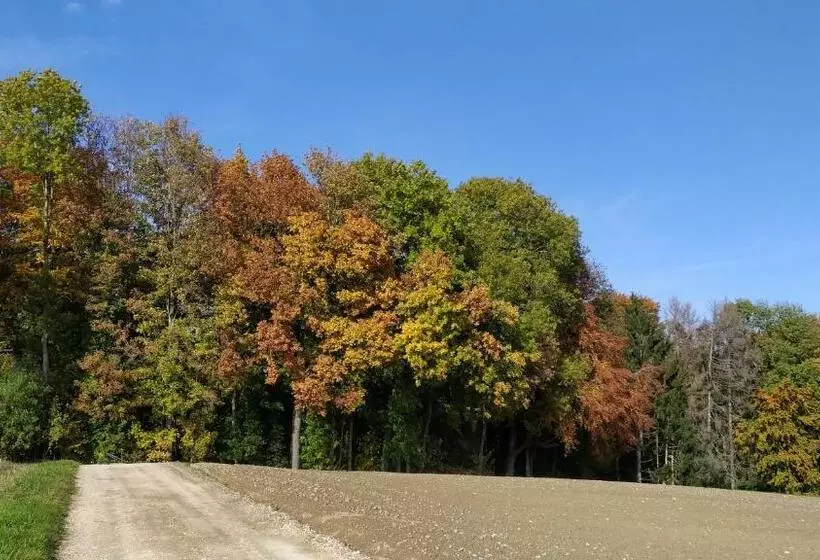 ペンション Guest House La Sereine