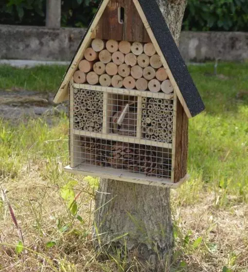 Aamiaismajoitus (B&B) Au Fil Du Temps