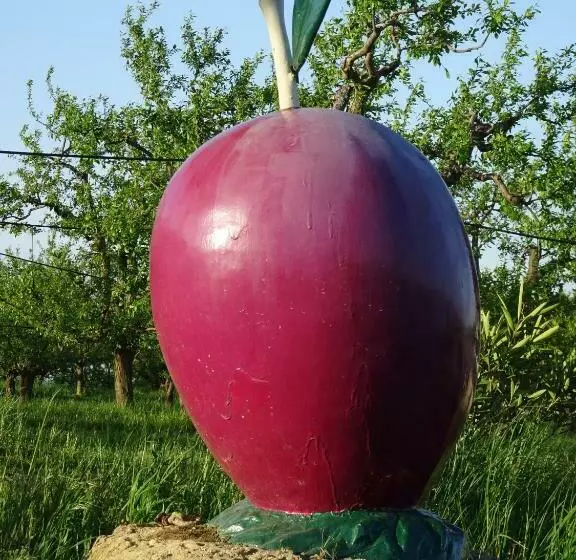 ベッドアンドブレックファースト Gîte De Beausoleil