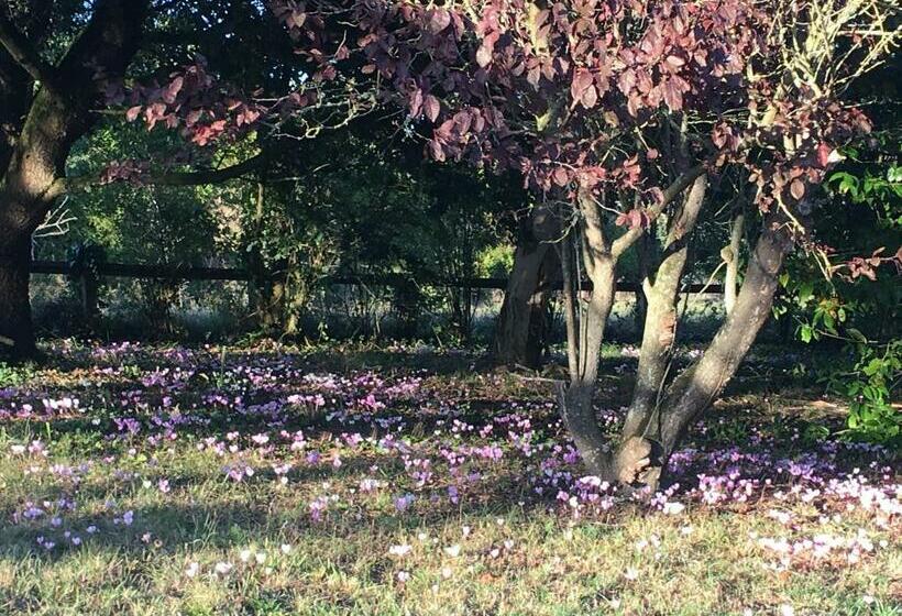 مبيت وإفطار La Chamade