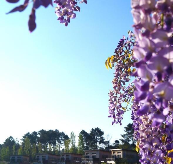 Отель écolodges Du Golf Du Sauternais