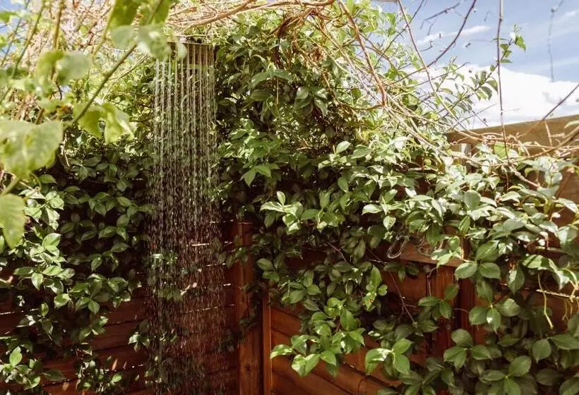 Majatalo The Bean Tree