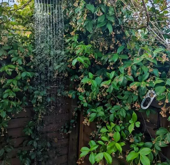 Majatalo The Bean Tree