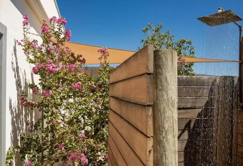 Majatalo The Bean Tree