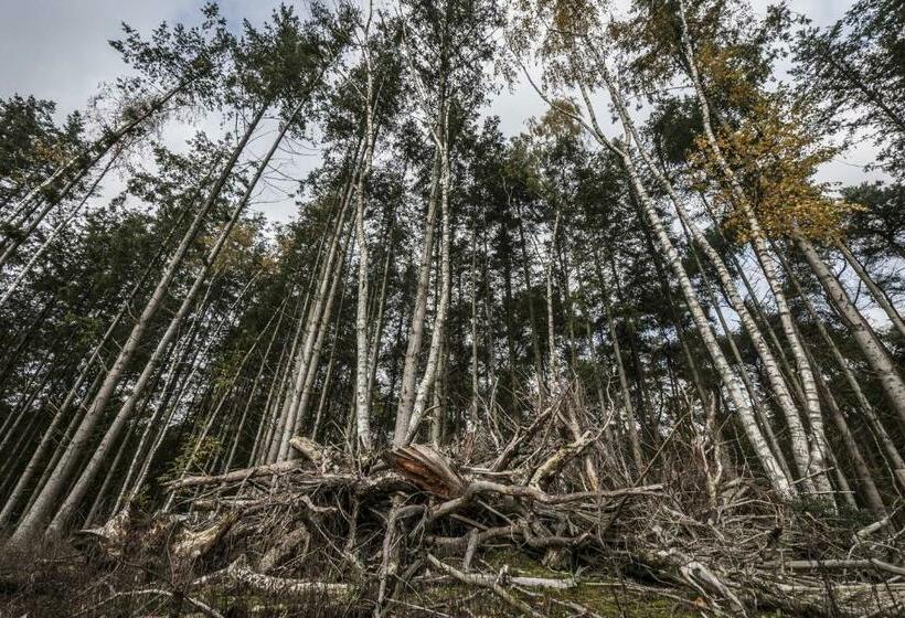 צימר Veul Oe Thuus Hoeve Kroep An