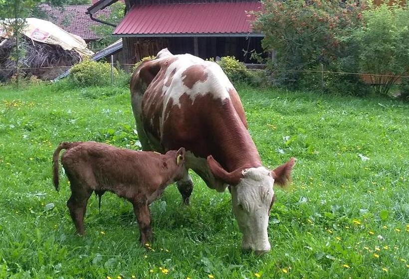 هتل Ferienhof Ammann