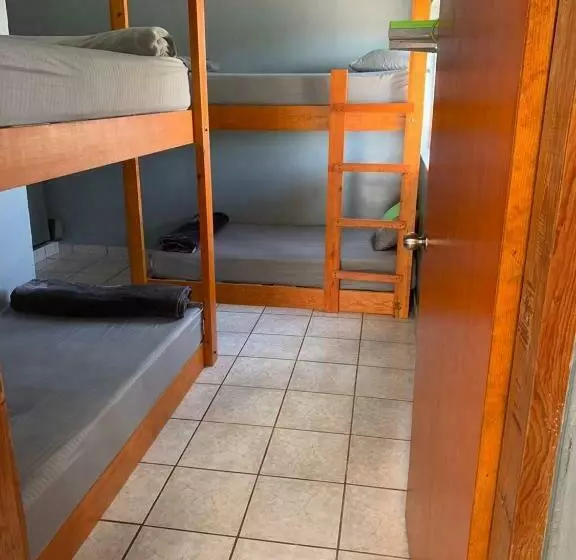 Tortuga Hostel