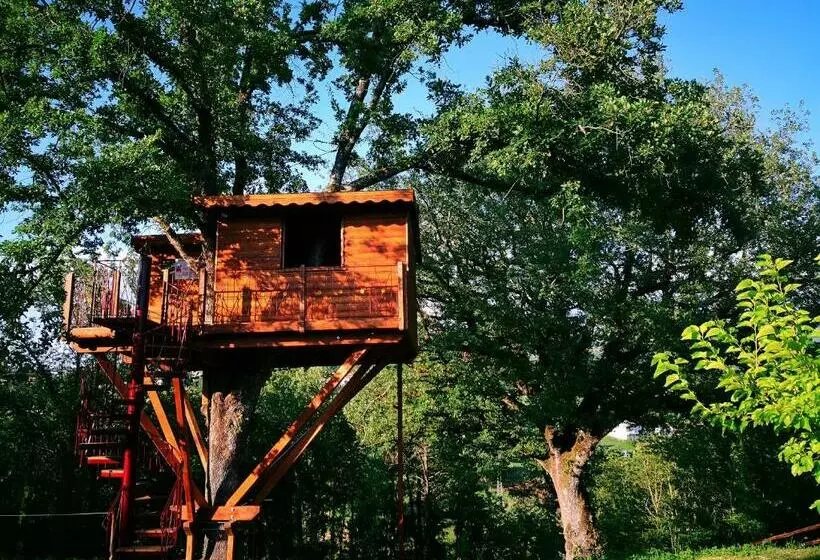 ベッドアンドブレックファースト Casa Sull Albero Bocchineri