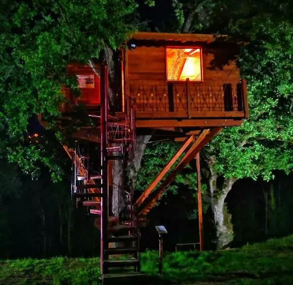 ベッドアンドブレックファースト Casa Sull Albero Bocchineri