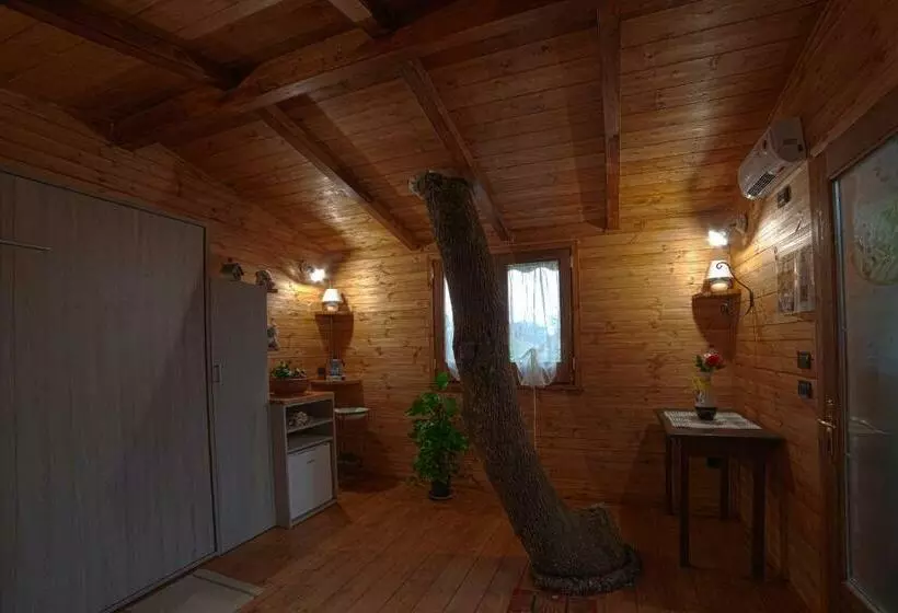 ベッドアンドブレックファースト Casa Sull Albero Bocchineri