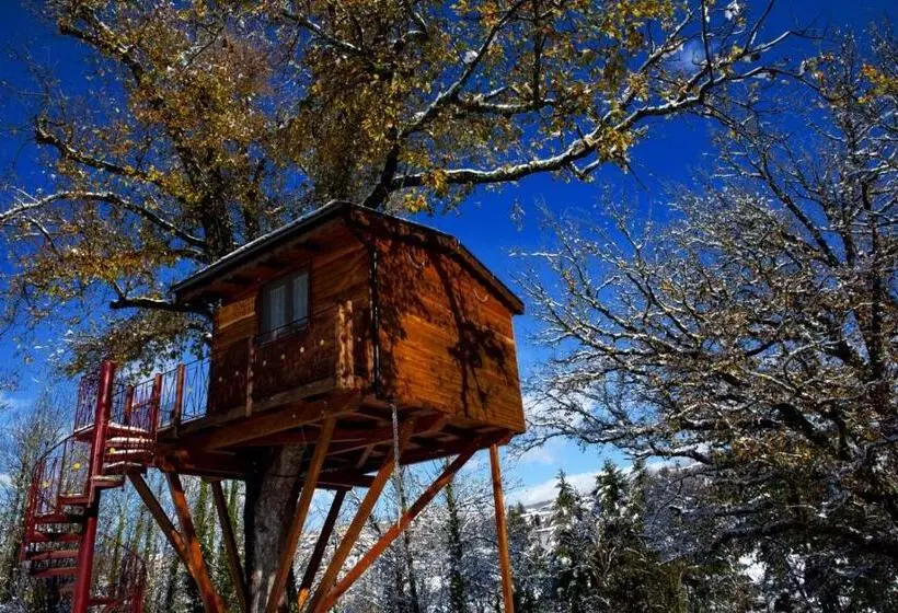 ベッドアンドブレックファースト Casa Sull Albero Bocchineri