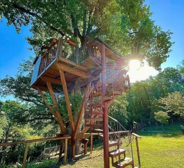 ベッドアンドブレックファースト Casa Sull Albero Bocchineri