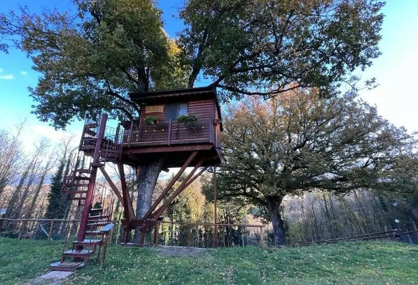 ベッドアンドブレックファースト Casa Sull Albero Bocchineri