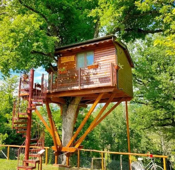 ベッドアンドブレックファースト Casa Sull Albero Bocchineri