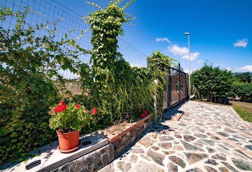 مبيت وإفطار Casa Sull Albero Bocchineri