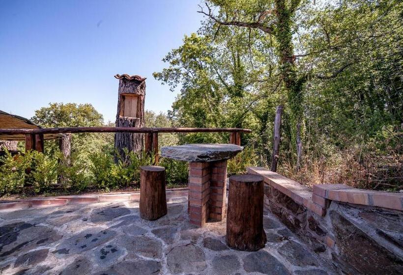 مبيت وإفطار Casa Sull Albero Bocchineri