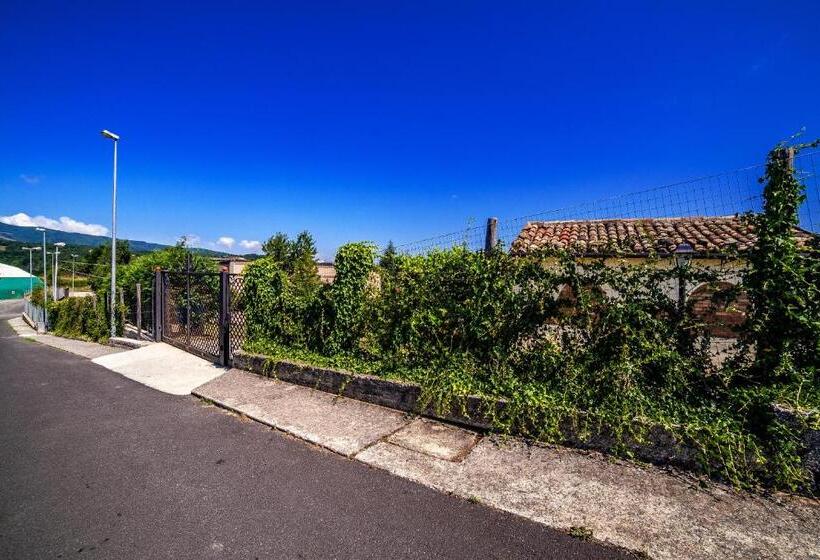 مبيت وإفطار Casa Sull Albero Bocchineri