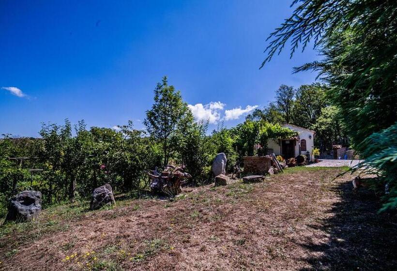 مبيت وإفطار Casa Sull Albero Bocchineri