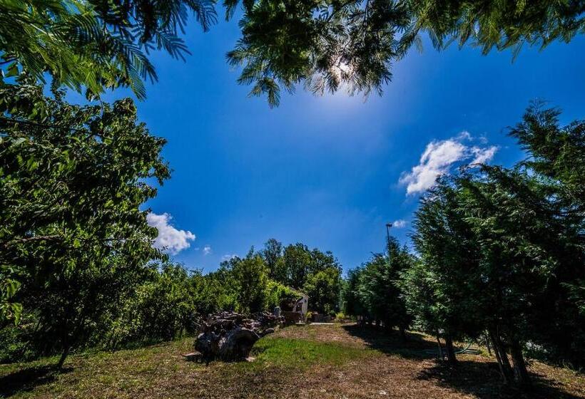 مبيت وإفطار Casa Sull Albero Bocchineri