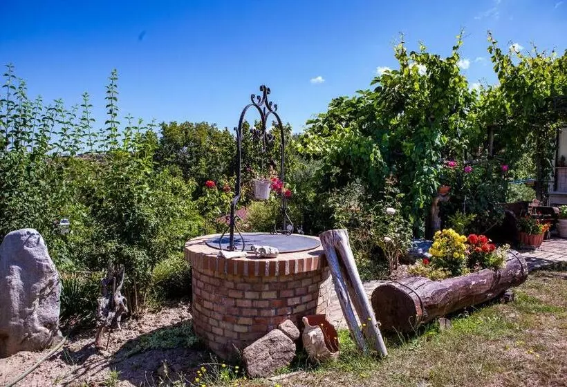 ベッドアンドブレックファースト Casa Sull Albero Bocchineri