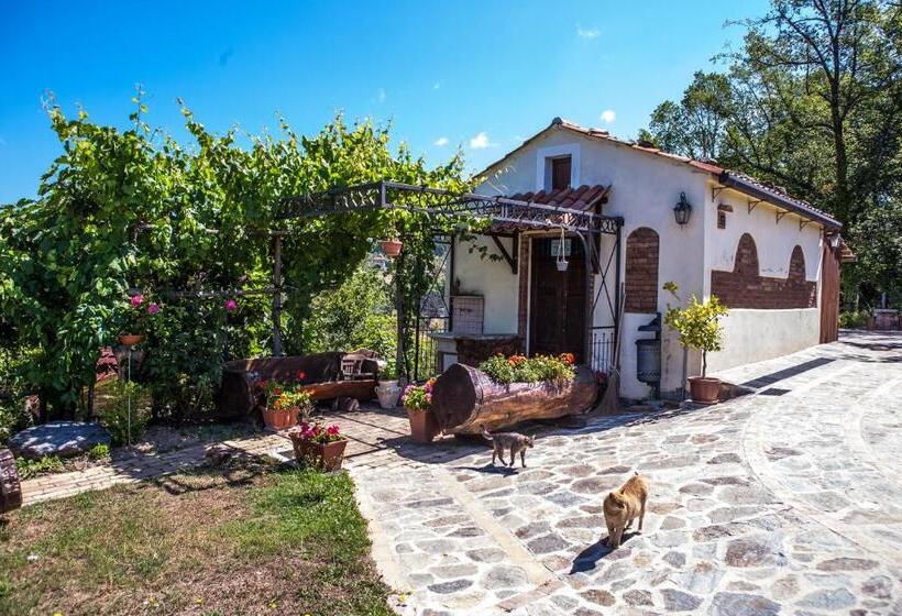 مبيت وإفطار Casa Sull Albero Bocchineri