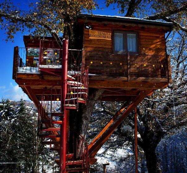 مبيت وإفطار Casa Sull Albero Bocchineri