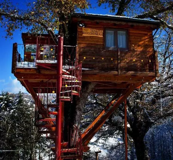 ベッドアンドブレックファースト Casa Sull Albero Bocchineri