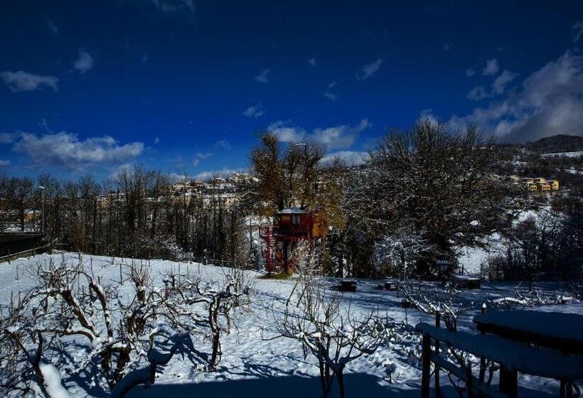 مبيت وإفطار Casa Sull Albero Bocchineri