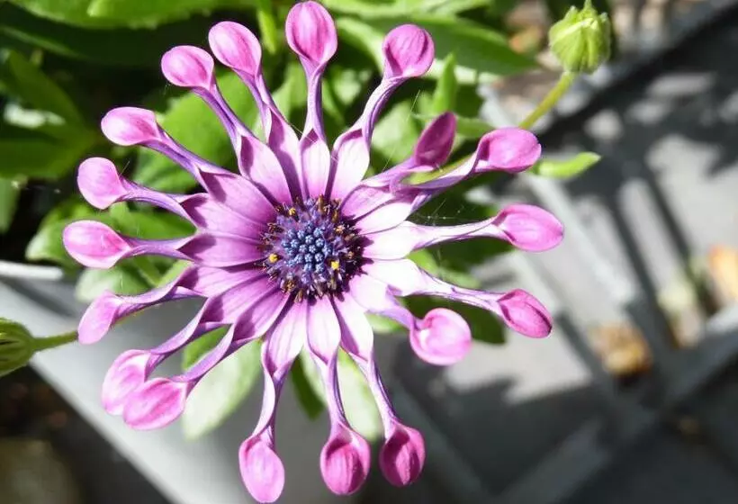 ベッドアンドブレックファースト Hus