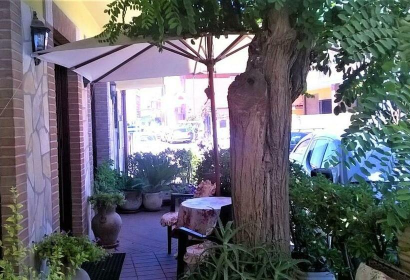 پانسیون Abacab