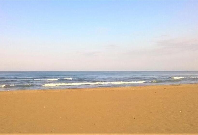 پانسیون Abacab