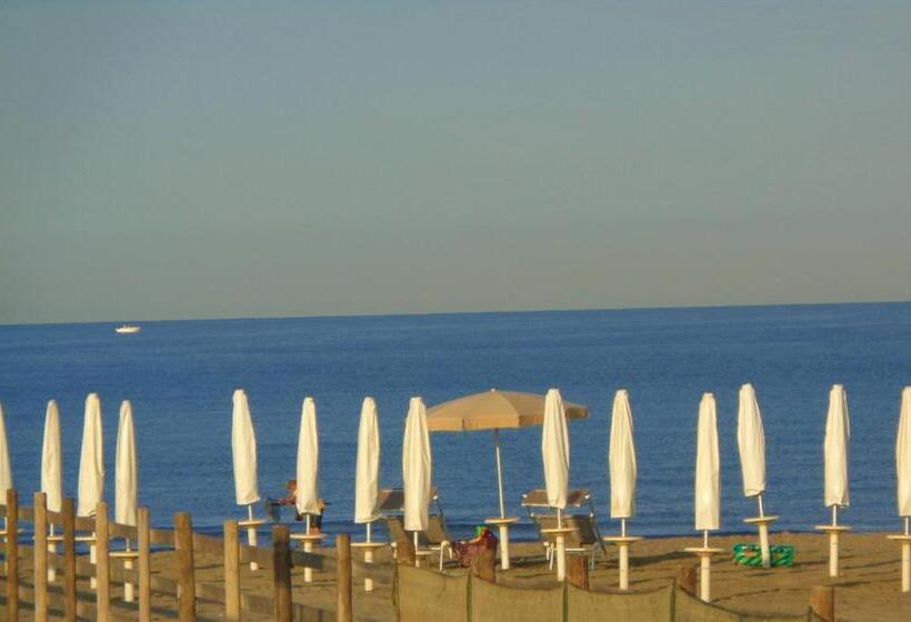 پانسیون Abacab