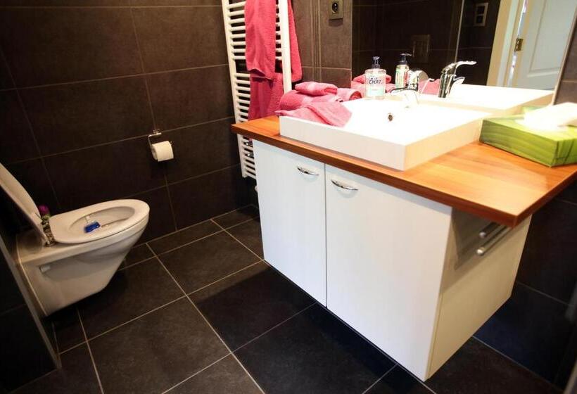 膳宿费 Les Sansonnets