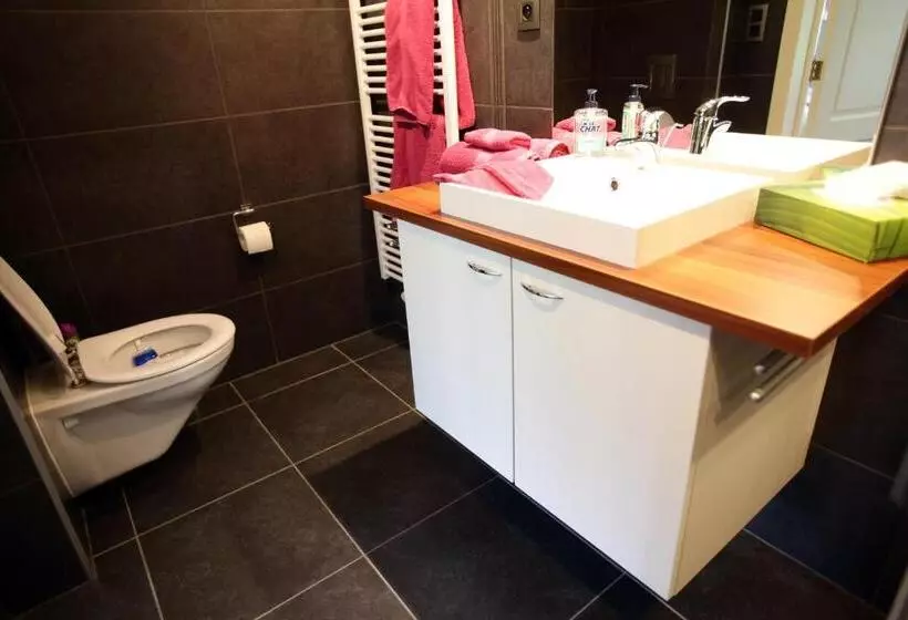 ペンション Les Sansonnets