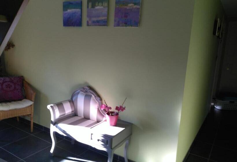 膳宿费 Les Sansonnets