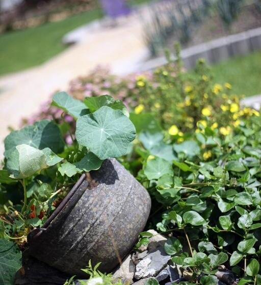 膳宿费 Les Sansonnets