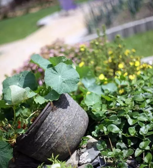 ペンション Les Sansonnets