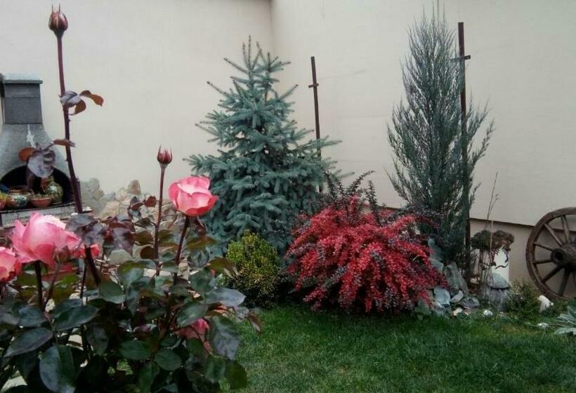 膳宿费 Rasnov Retreat