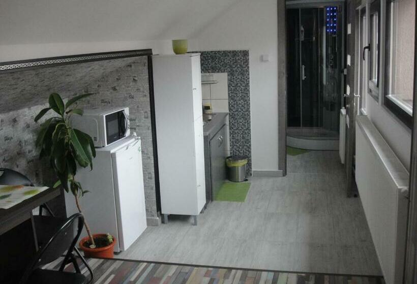 膳宿费 Rasnov Retreat