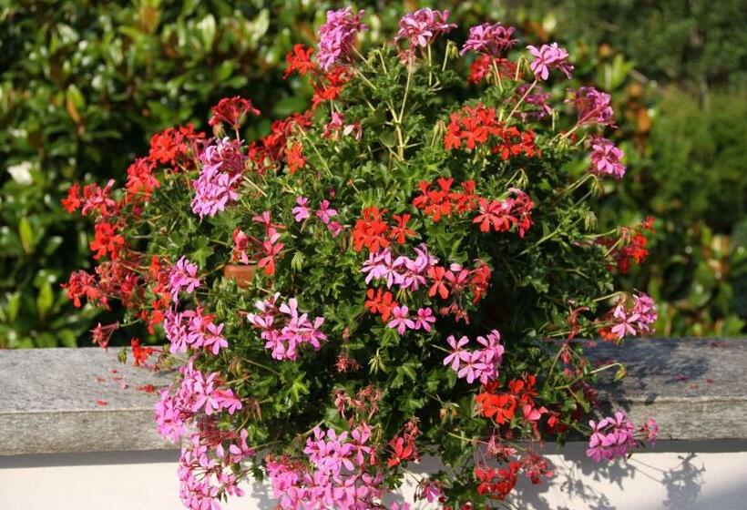 منتجع Villa Patrizia