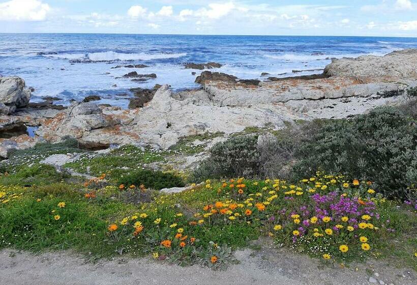 Bed and Breakfast Eirene Place