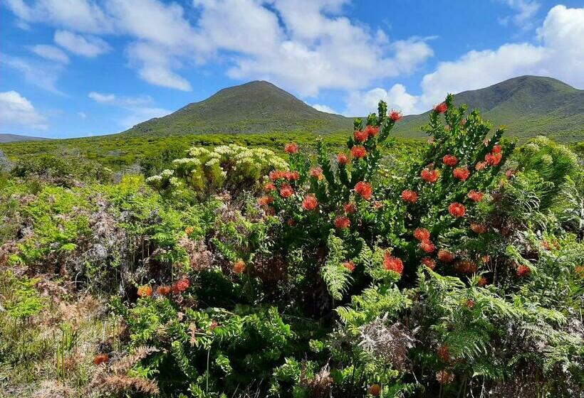 Bed and Breakfast Eirene Place