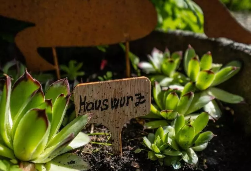 Majatalo 180gradblick