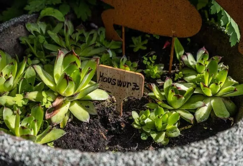 Majatalo 180gradblick