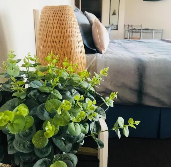 פנסיון Barossa Valley Studio