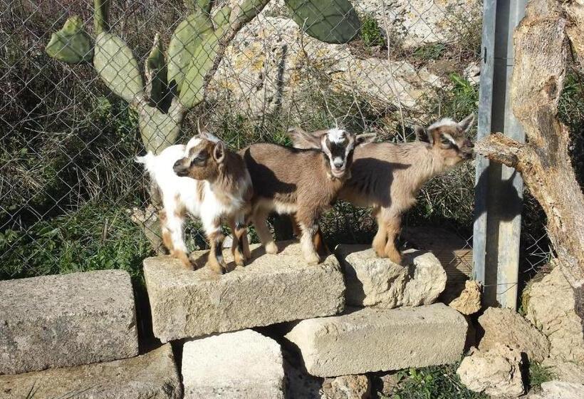 فندق Agriturismo Petra Lucana