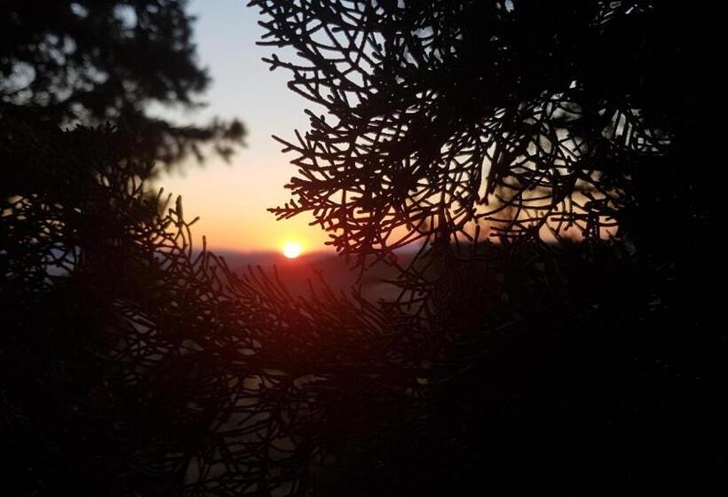 فندق Agriturismo Petra Lucana