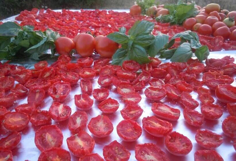 فندق Agriturismo Petra Lucana